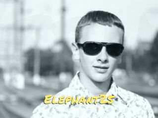 Elephant25