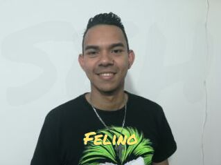 Felino