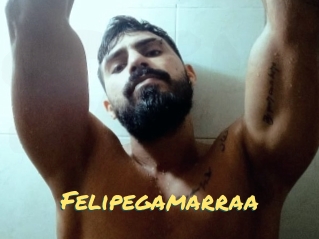 Felipegamarraa