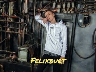 Felixburt