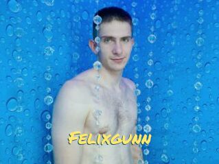 Felixgunn