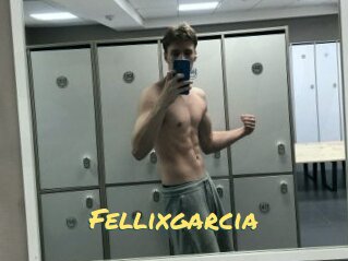 Fellixgarcia