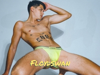 Floydswan