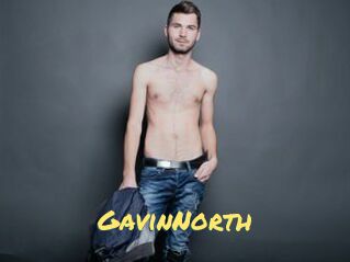 GavinNorth