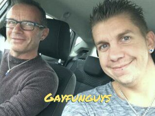 Gayfunguys