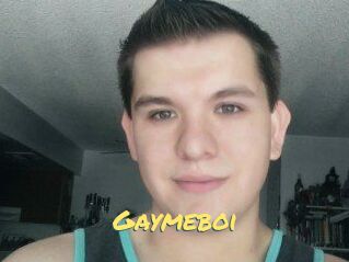 Gaymeboi
