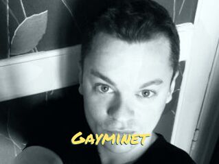 Gayminet