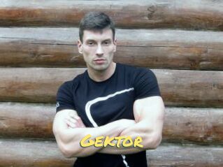 Gektor
