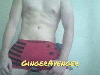 GingerAvenger
