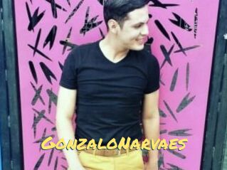 GonzaloNarvaes
