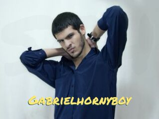 Gabrielhornyboy
