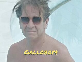 Galloboy4