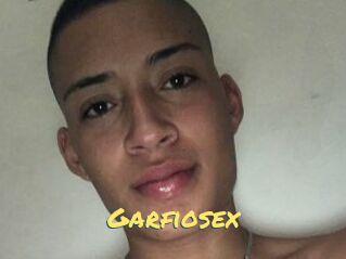 Garfiosex