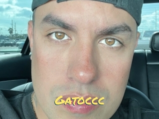 Gatoccc