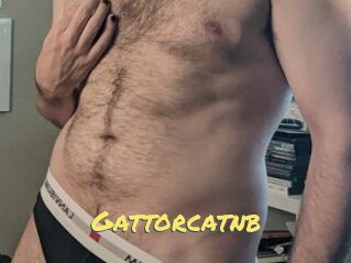 Gattorcatnb