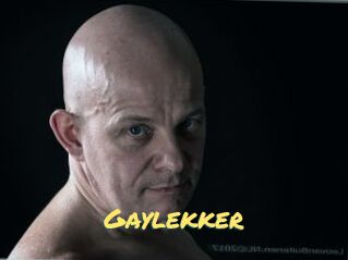 Gaylekker