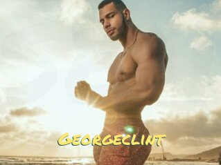 Georgeclint