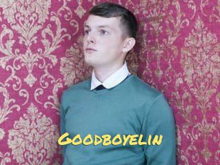 Goodboyelin