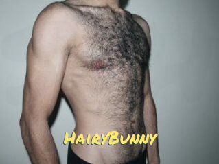HairyBunny