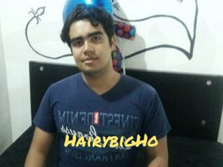 HairybigHo