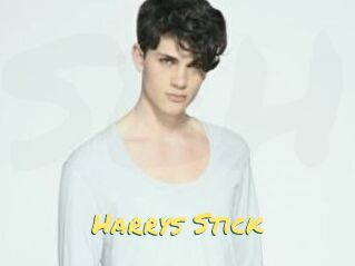 Harrys_Stick