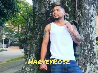 HarveyRose
