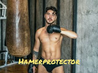 Hamerprotector