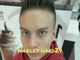 Harley_hard24