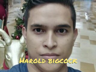 Harold_bigcock