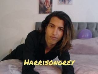 Harrisongrey