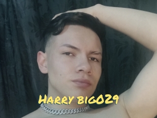 Harry_big029