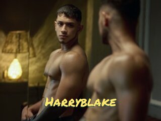 Harryblake