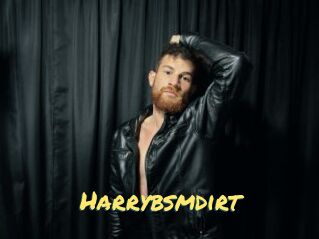 Harrybsmdirt