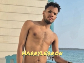 Harrylebron