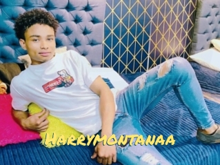 Harrymontanaa