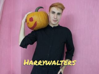 Harrywalters