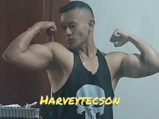 Harveytecson