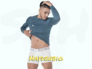 Haydenbig