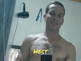 Hect
