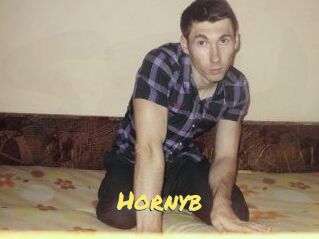 Hornyb