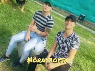 Hornyboysx