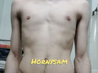 Hornysam