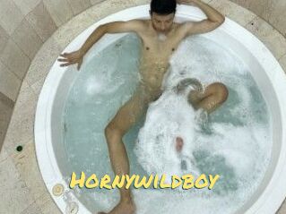Hornywildboy