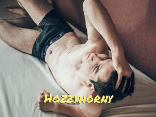 Hozzyhorny