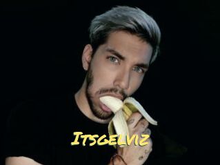 Itsgelviz
