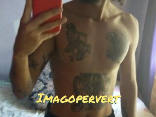Imagopervert
