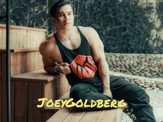 JoeyGoldberg