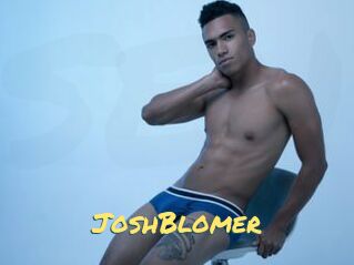 JoshBlomer