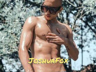 JoshuaFox