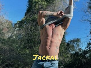 Jackal